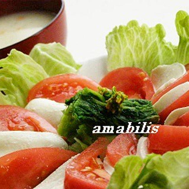 モッツァレラチーズとトマトのサラダセット