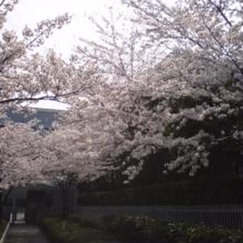 1年