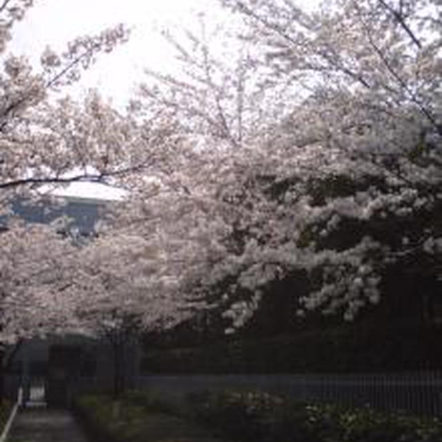 1年