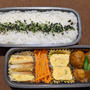 主人のお弁当　〜カレーミートボール〜