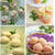 【まとめ】冷やして美味しい夏のパン♪　8recipes。と　かき氷とお買い物。　