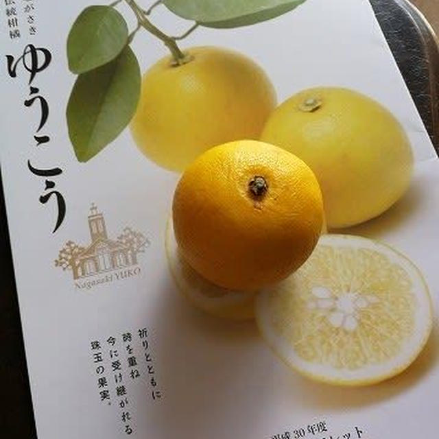 歴史があるけど新しい長崎の柑橘「ゆうこう」 / 謎の電話 