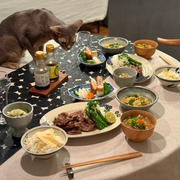 焼きしゃぶおろしの夜ごはん　わか坊も夢中
