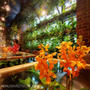 【花と緑に囲まれるカフェ】Aoyama Flower Market TEA HOUSE