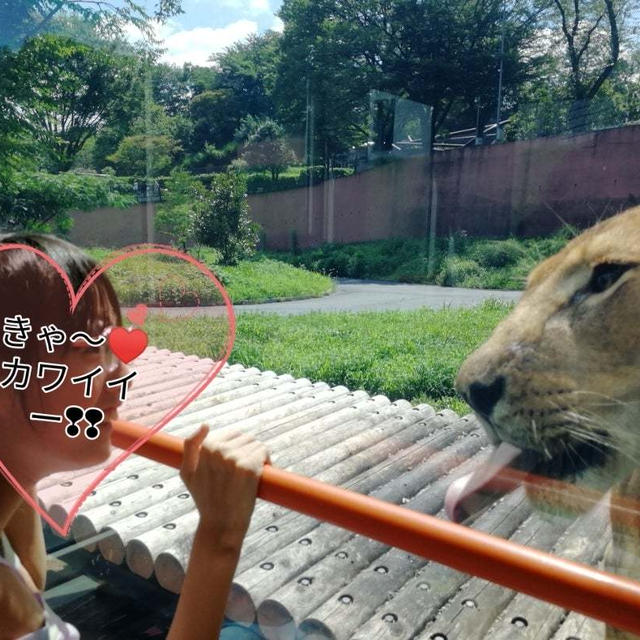 多摩動物公園ってば