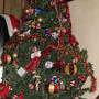 我が家のクリスマスツリ－　Albero di Natale