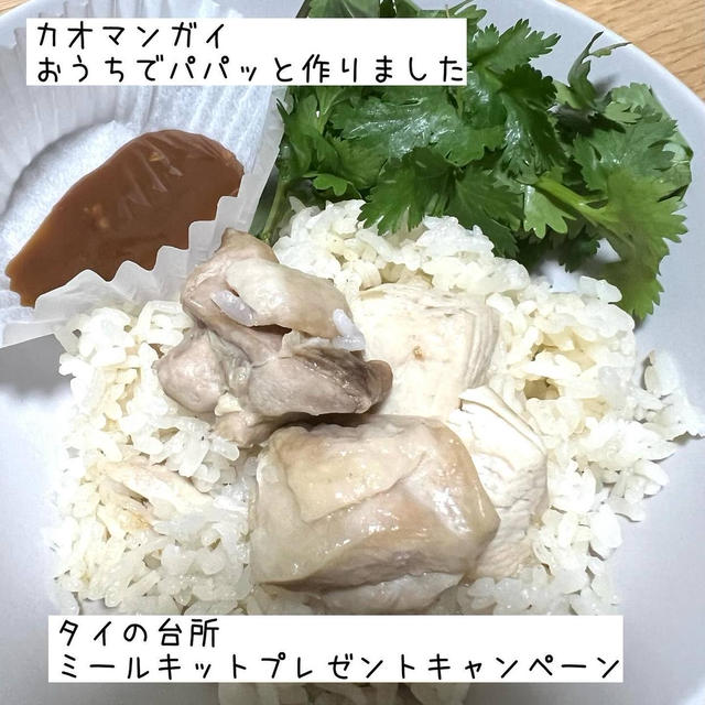 カオマンガイを作ったよ　タイの台所ミールキットプレゼントキャンペーン　先着でいただきました