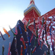 東京タワー　333匹の「鯉のぼり」と「さんまのぼり」