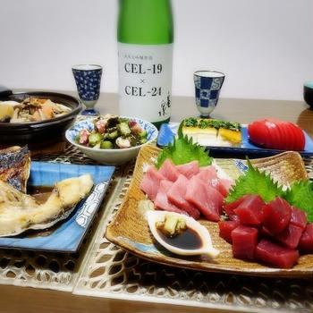 【家飲み/日本酒】 亀泉 CEL-19×CEL-24 チャレンジ酒　* 本鮪 * 志麻さんの豆腐だけ料理 * 芋煮