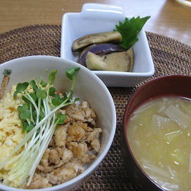 二色そぼろ丼で朝ごはん