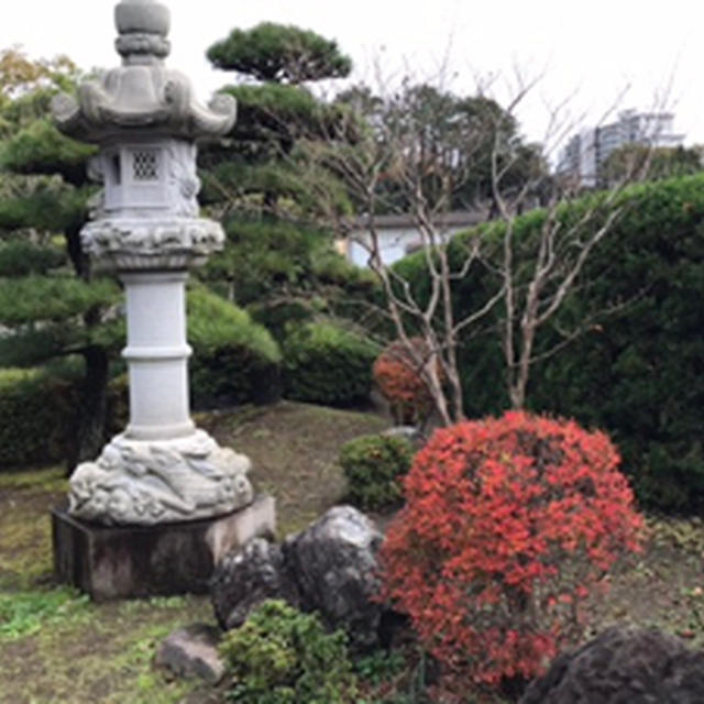 晩秋から初冬の日本＿2019　⑴　ー横浜・鎌倉ー