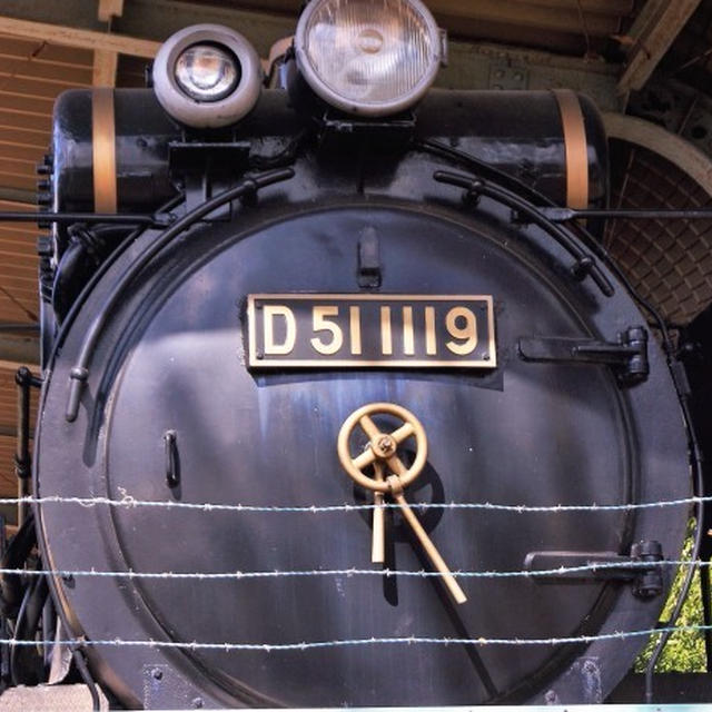■ウォーキング続（３）【D５１広場／風月亭】