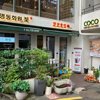 ココホド 코코호도 明洞聖堂店 ♡