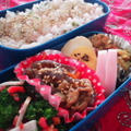 お弁当出来た～o(^-^)o