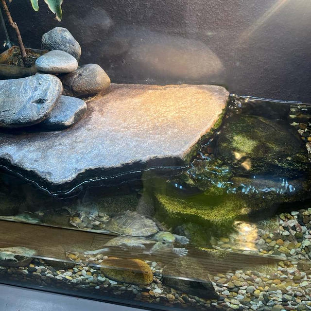 水族館