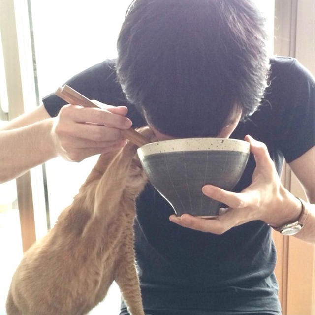ひなちゃん、5回目の命日
