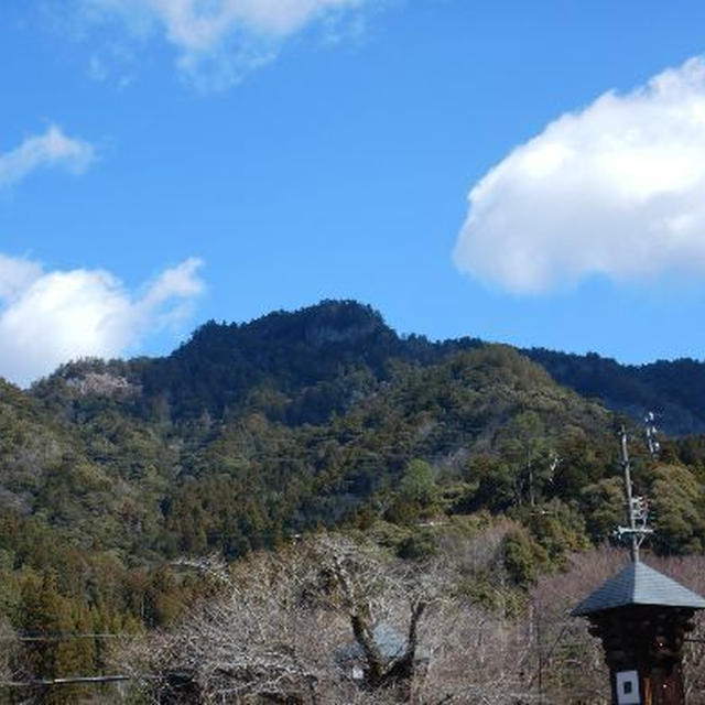 鳳来寺山・小富士山バリエーション