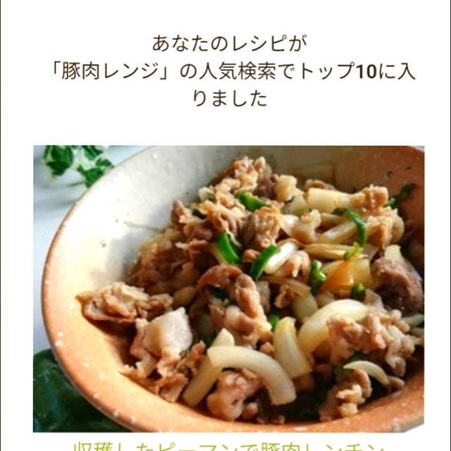 クックパッド私のレシピが「豚肉レンジ」の人気検索でトップ10に入りました、30cmものさし入れ。