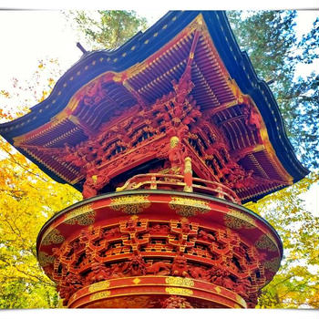 秩父の紅葉スポット「三峯神社」と絶景テラス席が人気の参道茶店「大島屋」