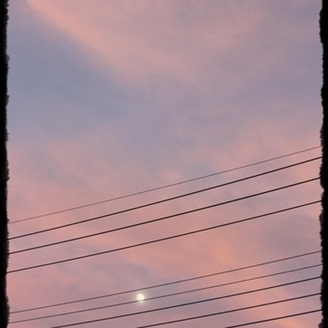 お空を見上げて・・・♥