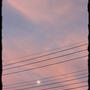 お空を見上げて・・・♥
