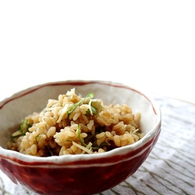 リメイク!!生姜とネギのまぜご飯～おすそわけ♪簡単ラッピング