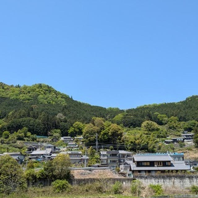 友人の実家で田植え体験！