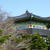 韓国　済州島旅行　その４