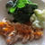 「蒸し焼きチキンの充実野菜ソース添え」