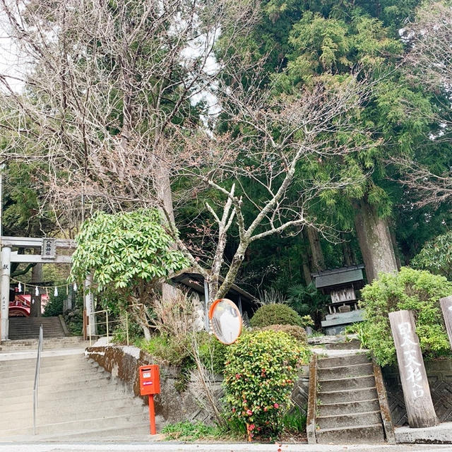 ちゃぶママのお出かけ日記①　パワースポット