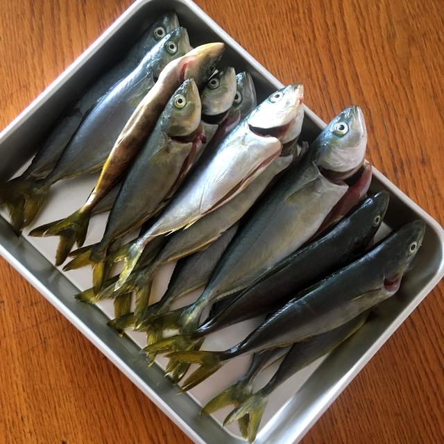 お魚レシピup モジャコ ブリ幼魚 By Fushiccheさん レシピブログ 料理ブログのレシピ満載