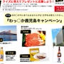鹿児島の黒　こだわりプレゼント　鹿児島旅行が当たるかも？