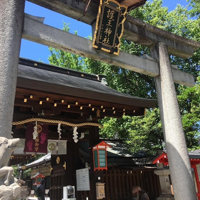 2019年は猪年！初詣にお勧めの京都の神社仏閣は…？