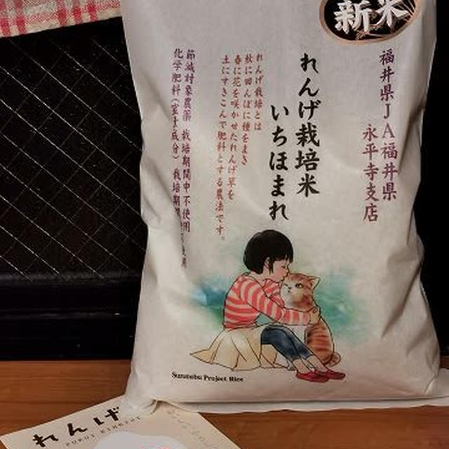 お米の粒