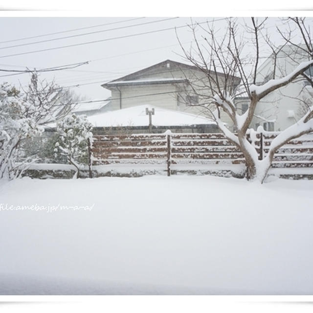 なんちゃってランプの湯と雪見酒。