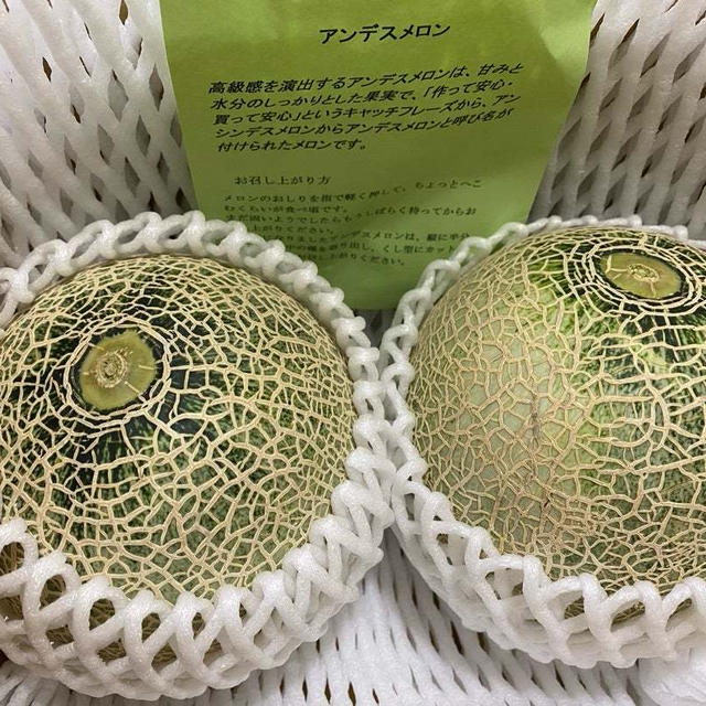 昨年申し込んだヒューリックの優待到着