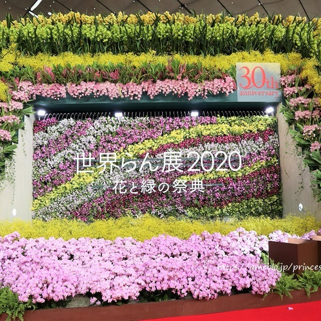 世界らん展2020　花と緑の祭典