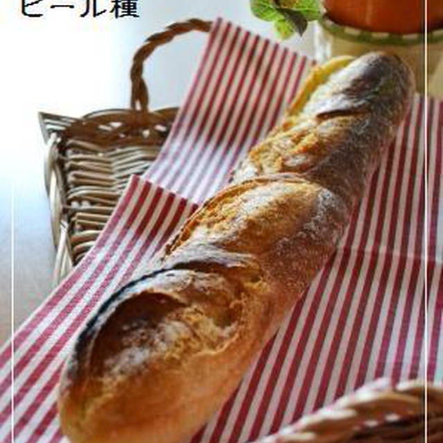 【実験１】のつもり…バゲット＠ビール種