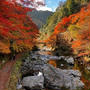 高雄～清滝～嵐山　京都トレイル