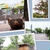 5月は動物園