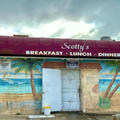 スコッティ　scotty's on the strand　ハモサビーチの目の前　