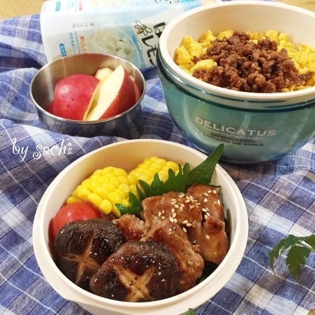 息子の☆2色丼&amp;豚焼肉弁当♪