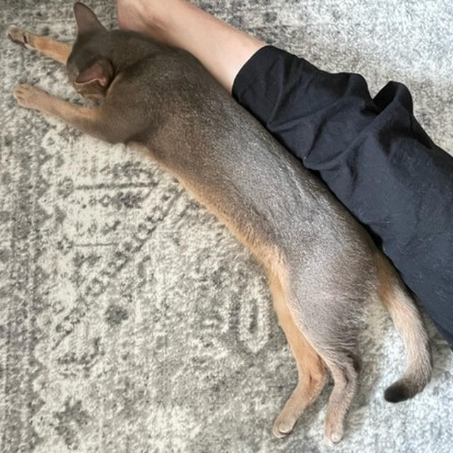 股の間を乗っ取られた(*´ω`*)