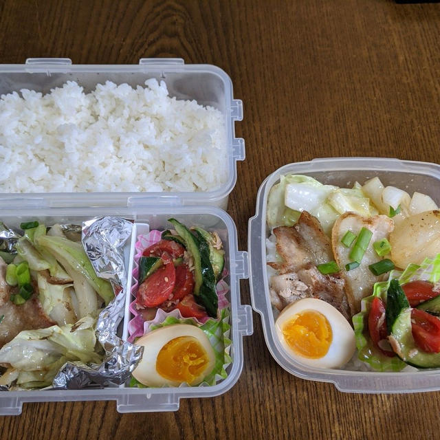 今日の弁当