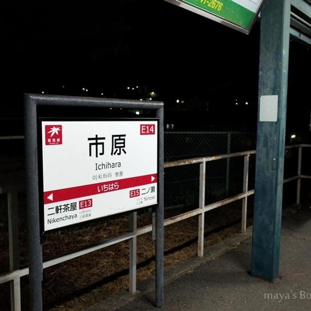 【女3人京都旅】とり料理 瀬戸@市原駅（京都）で、唯一無二の絶品鳥料理！！