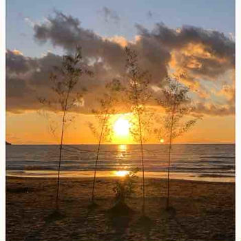 海のお正月飾り【夕陽と海】2022明けましておめでとうございます