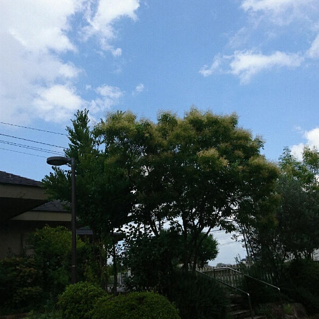 梅雨の晴れ間