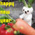 2011年あけましておめでとうございます！＆5周年を迎えました♪