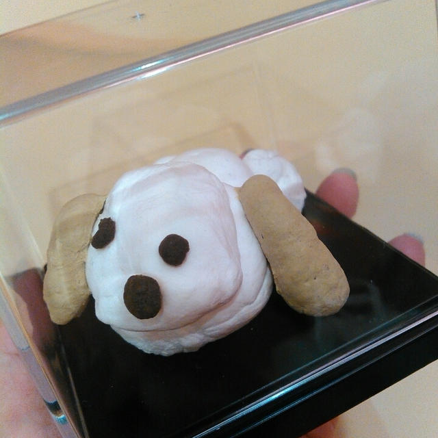 ワークショップの息子の作品