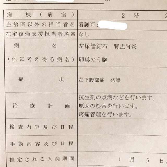 ３大激痛！？尿管結石と腎盂腎炎で入院と・・・